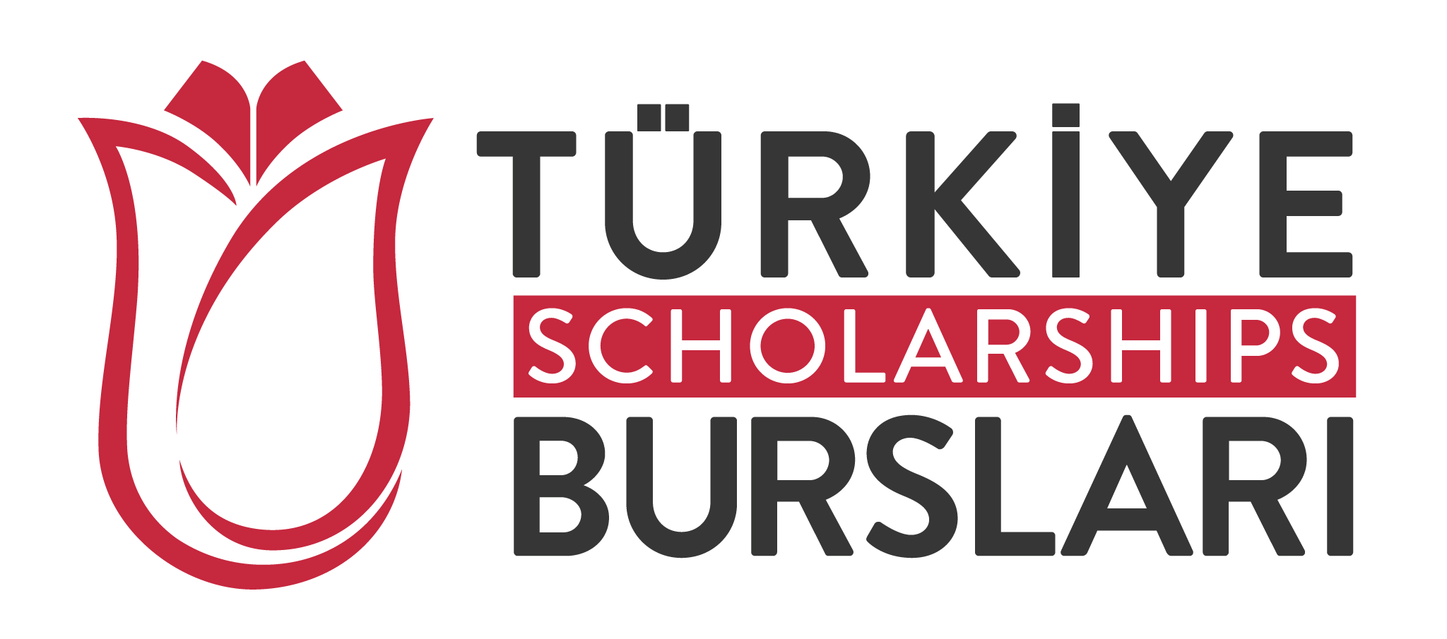 المنح الدراسية في تركيا 