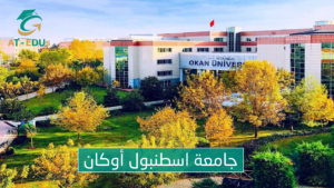 جامعة اسطنبول أوكان 2022